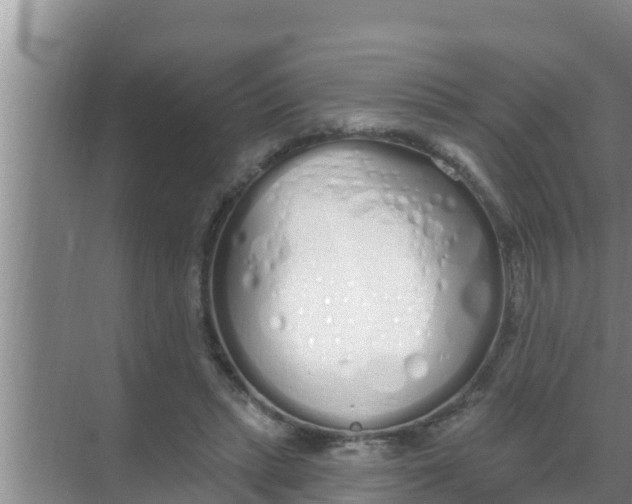 X0000069380447200605262055