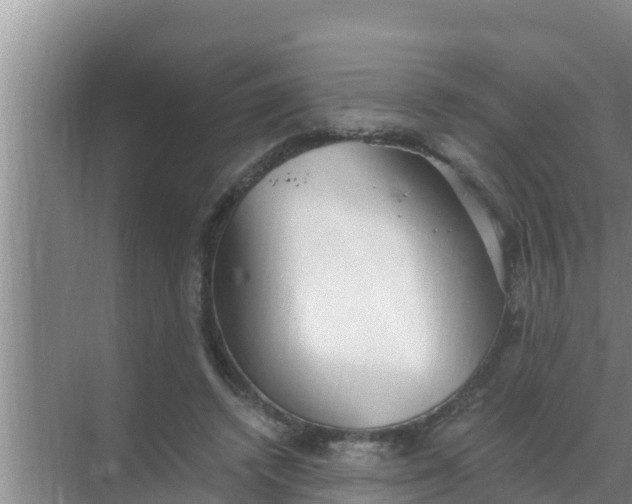 X0000069380448200605262055