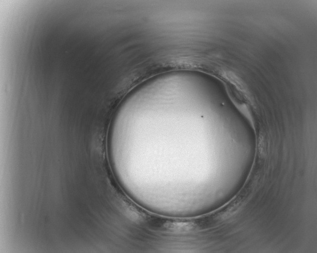 X0000069380449200605262055