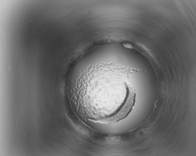 X0000069380451200605262055