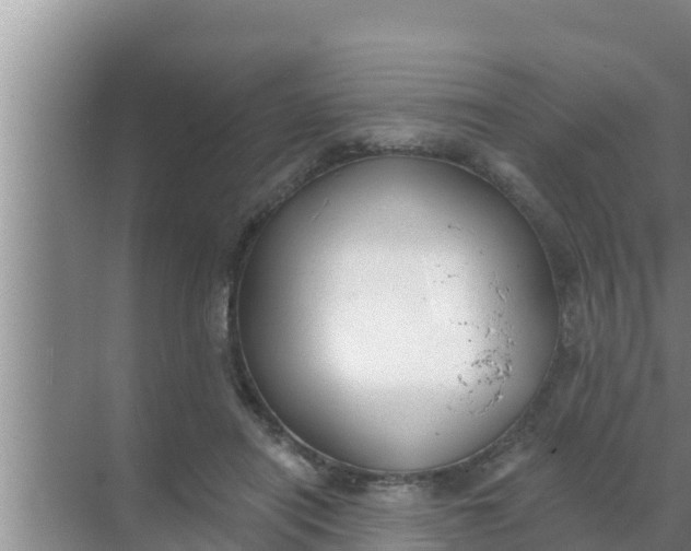 X0000069380454200605262055