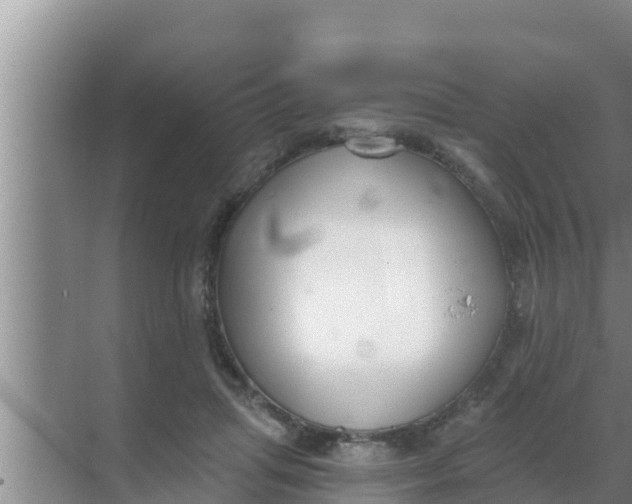 X0000069380455200605262055