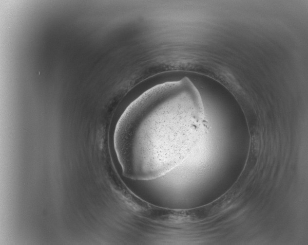 X0000069380458200605262055