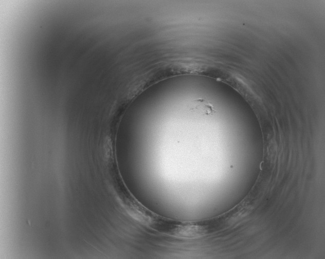 X0000069380459200605262055