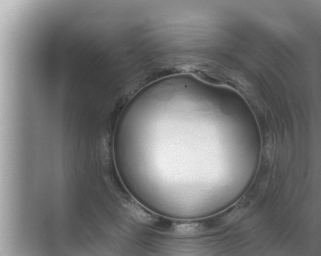 X0000069380461200605262055