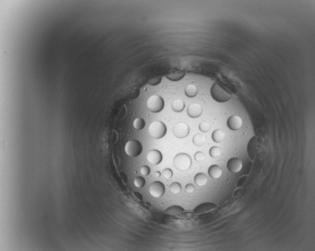 X0000069380466200605262055