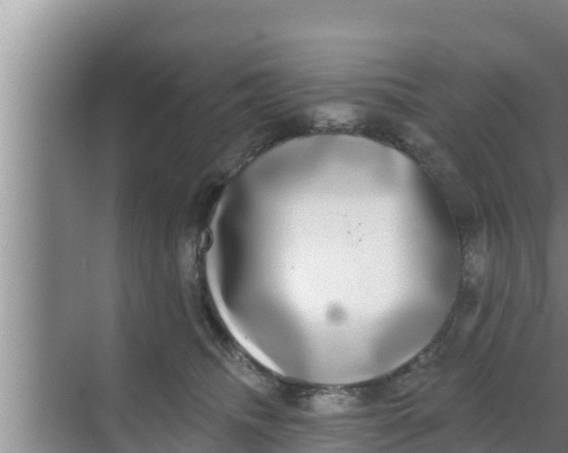 X0000069380468200605262055