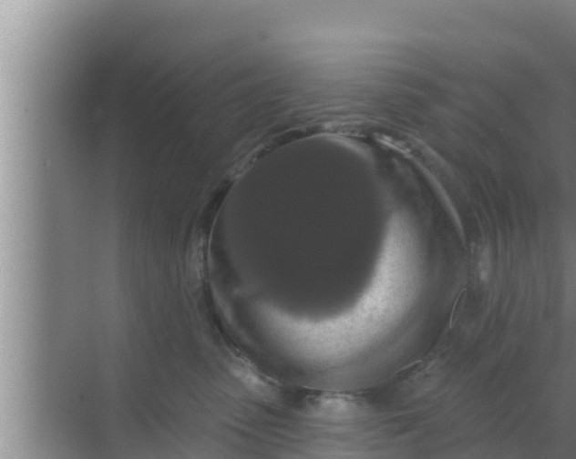 X0000069380475200605262055