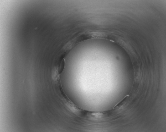 X0000069380478200605262055