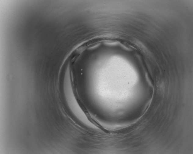 X0000069380484200605262054