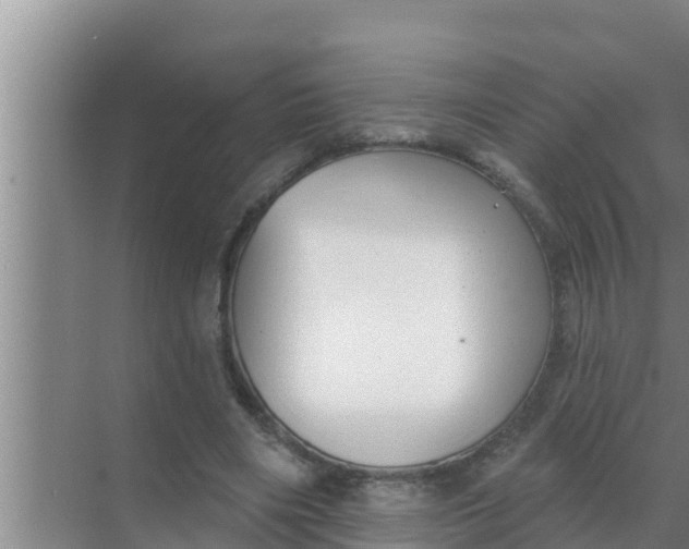 X0000069380490200605262054