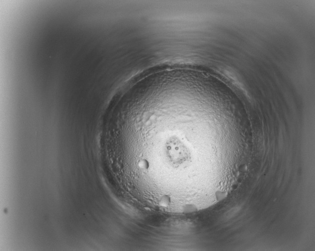 X0000069380491200605262054