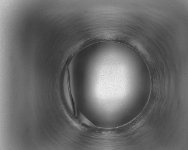 X0000069380493200605262054