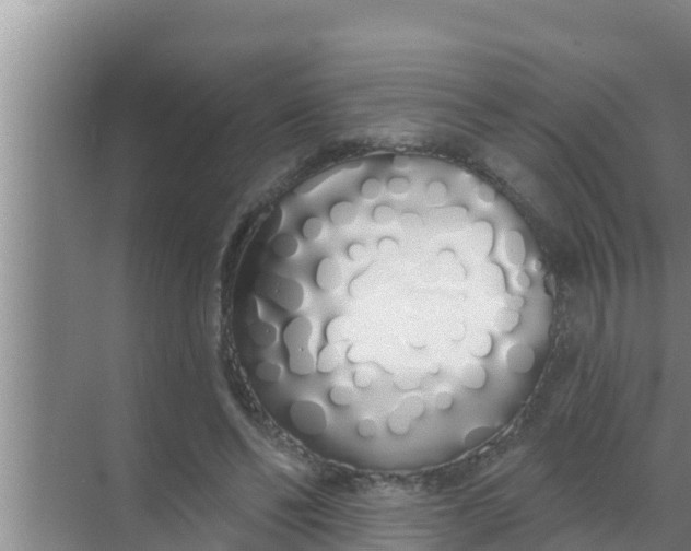 X0000069380494200605262054