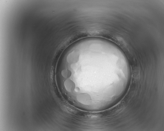 X0000069380495200605262054