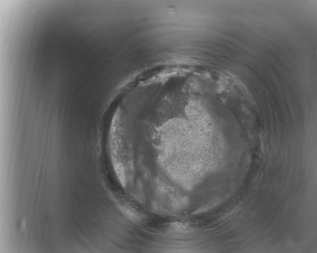 X0000069380496200605262054