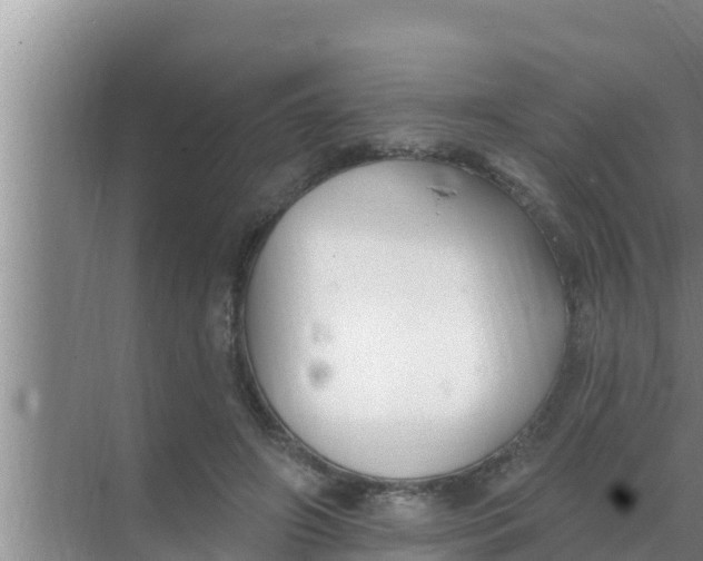 X0000069380498200605262054