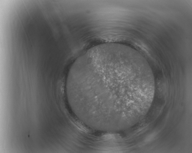 X0000069380499200605262054