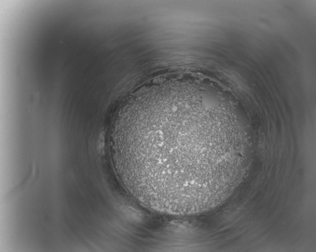 X0000069380502200605262054