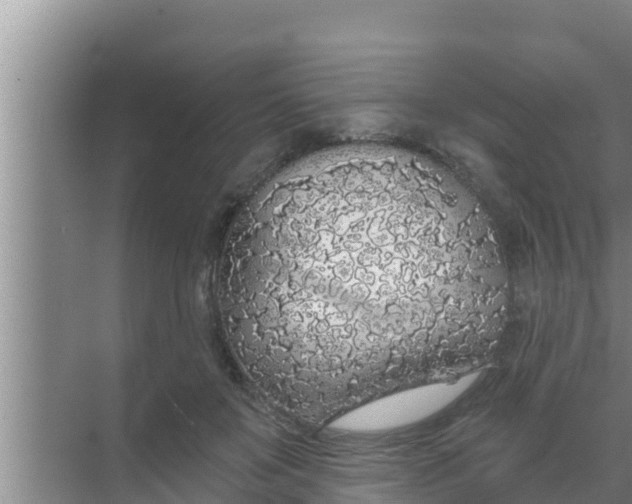 X0000069380503200605262054