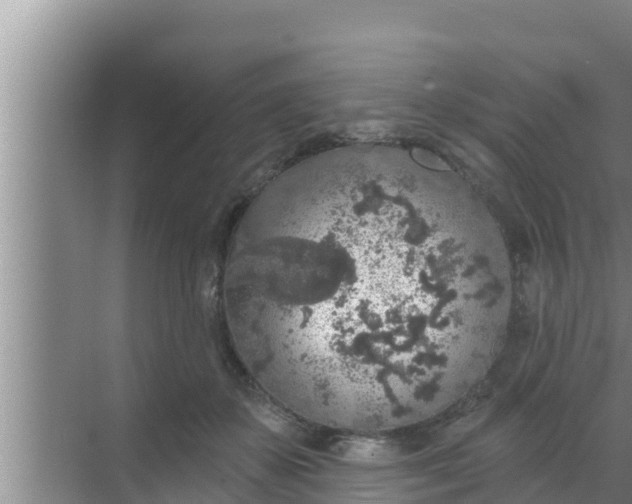 X0000069380507200605262054