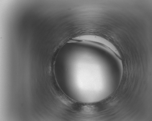 X0000069380508200605262054