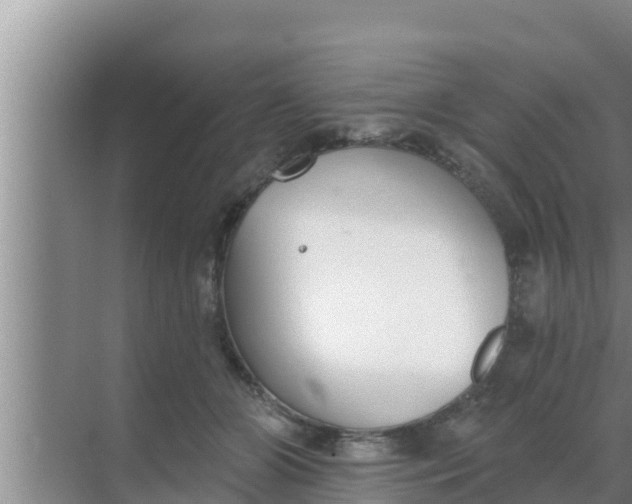 X0000069380510200605262054