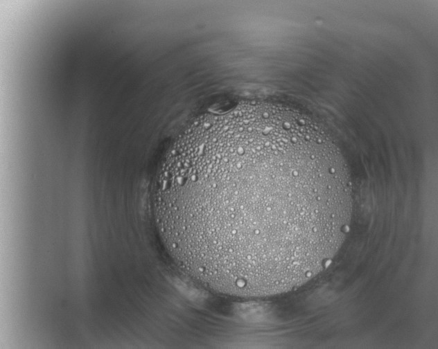 X0000069380511200605262054