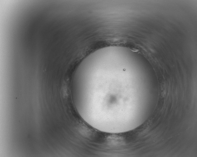 X0000069380515200605262054