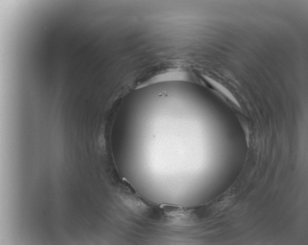 X0000069380516200605262054