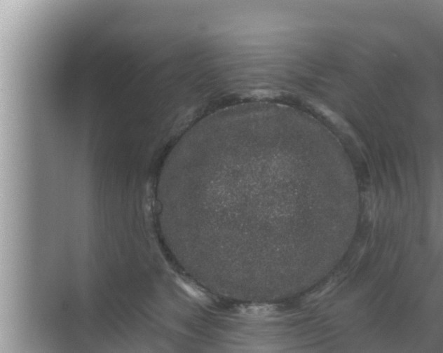 X0000069380517200605262054