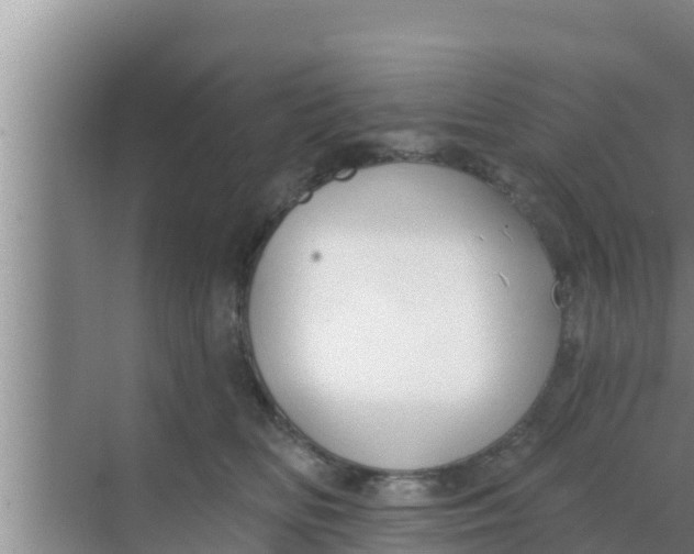 X0000069380518200605262054