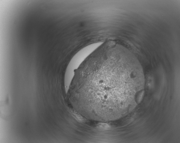 X0000069380519200605262054