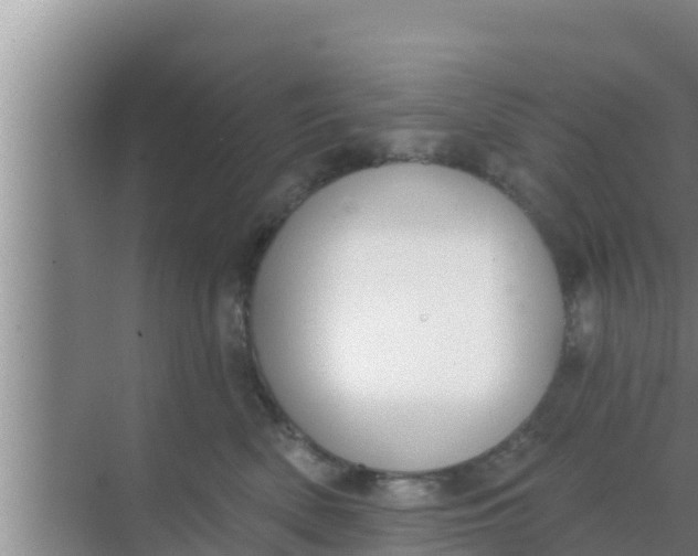 X0000069380522200605262054