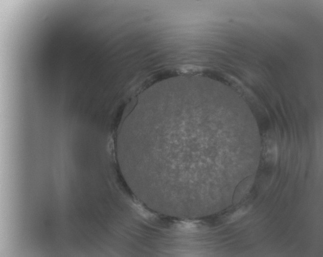 X0000069380523200605262054