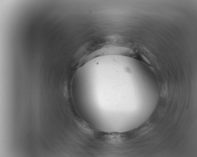 X0000069380524200605262054