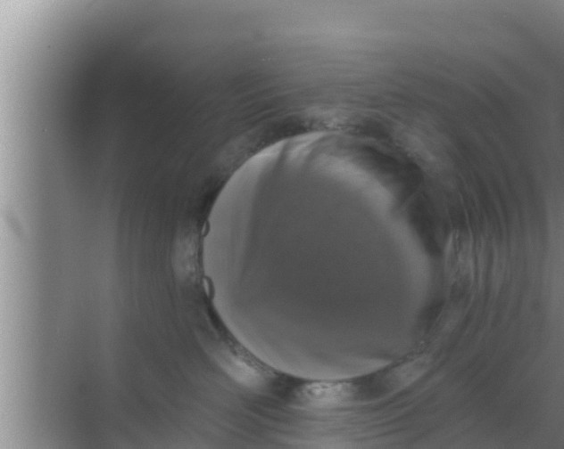 X0000069380526200605262054