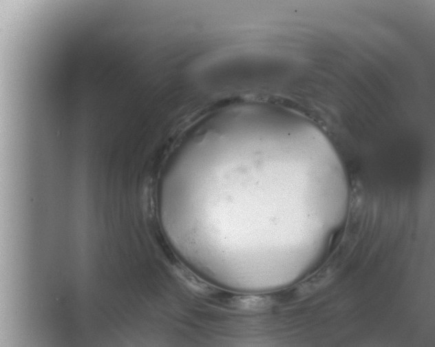 X0000069380527200605262053