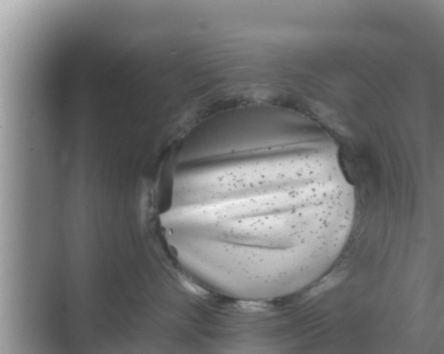 X0000069380528200605262053