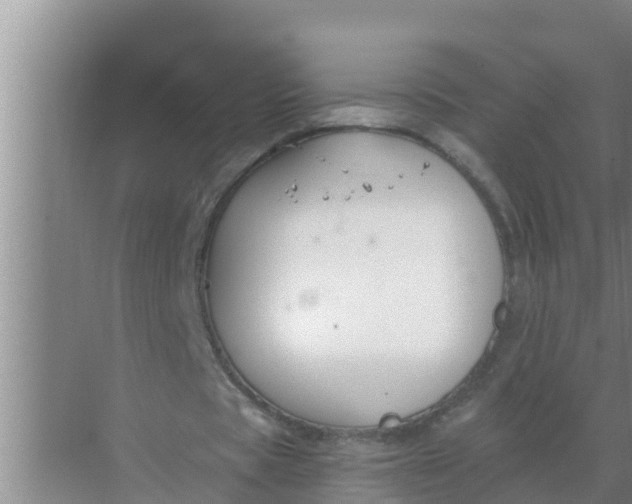 X0000069380529200605262053