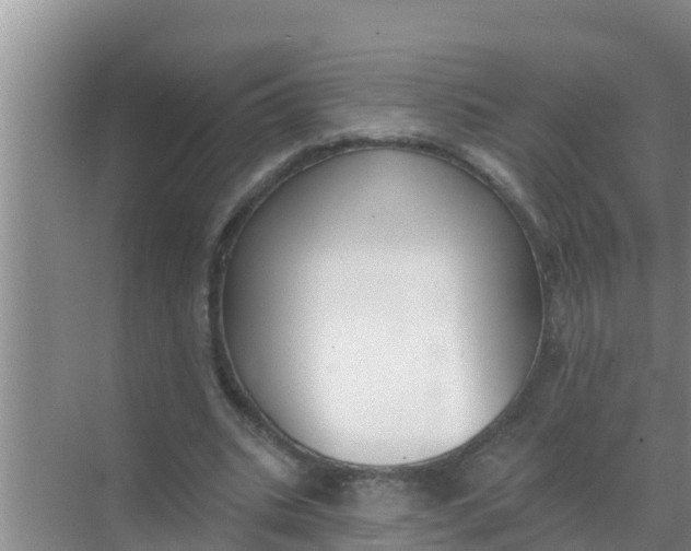 X0000069380535200605262053