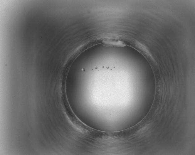 X0000069380538200605262053