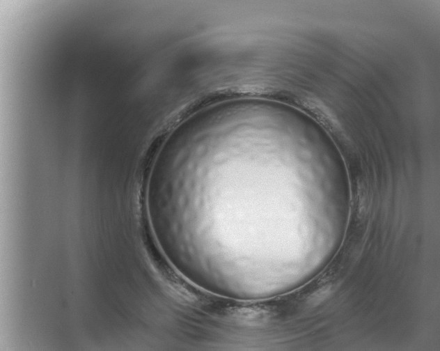 X0000069380542200605262053