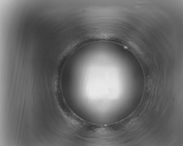 X0000069380544200605262053