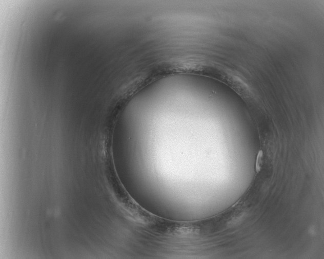 X0000069380546200605262053