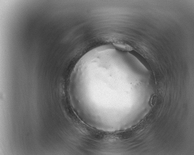 X0000069380547200605262053