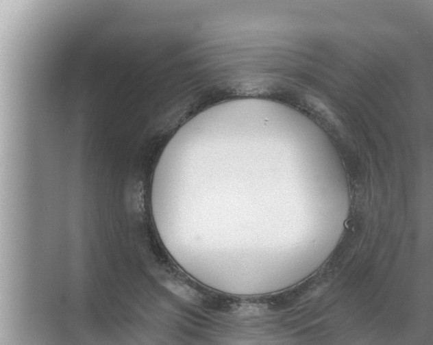 X0000069380549200605262053