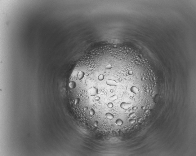 X0000069380553200605262053