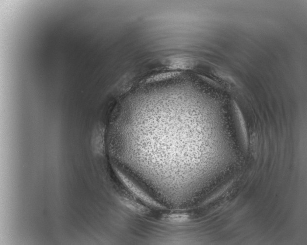 X0000069380554200605262053