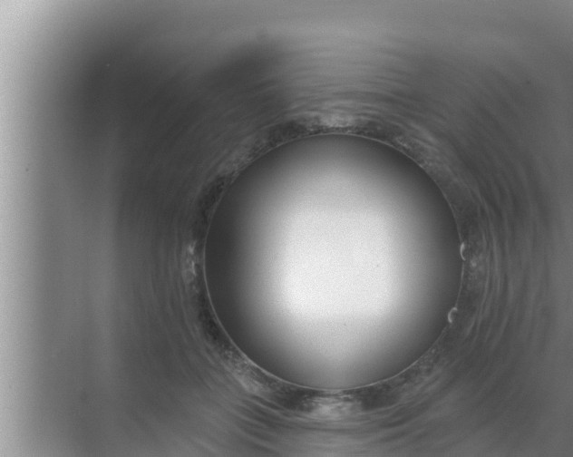 X0000069380555200605262053